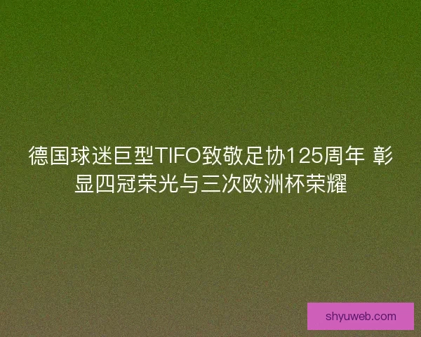 德国球迷巨型TIFO致敬足协125周年 彰显四冠荣光与三次欧洲杯荣耀